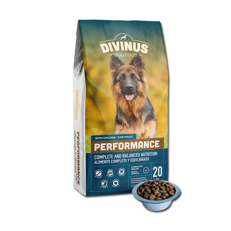 Divinus Performance dla owczarka niemieckiego 20kg